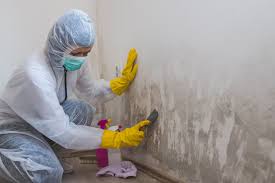 Why You Should Choose Our Mold Remediation Services in Magnet Cove, AR